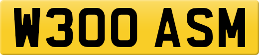 W300ASM