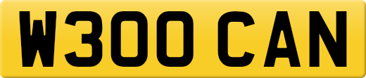 W300CAN