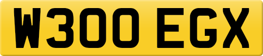 W300EGX