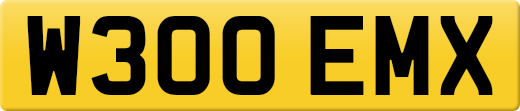 W300EMX