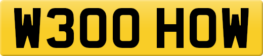 W300HOW