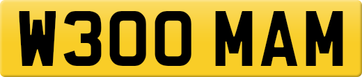 W300MAM