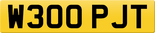 W300PJT