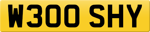 W300SHY