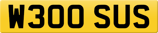 W300SUS