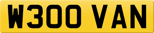 W300VAN