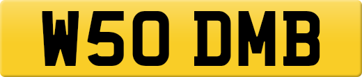 W50DMB