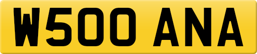 W500ANA