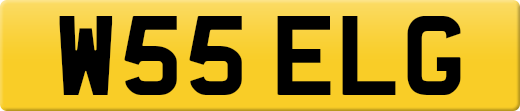 W55ELG