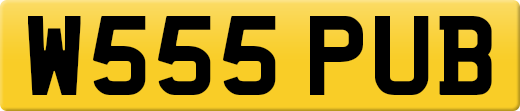 W555PUB