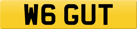 W6GUT