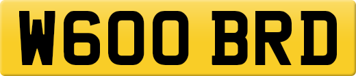 W600BRD