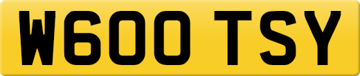 W600TSY