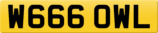 W666OWL
