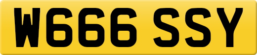 W666SSY