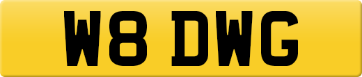 W8DWG