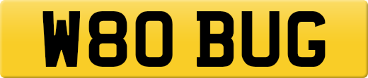 W80BUG
