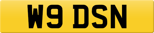 W9DSN