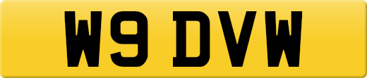 W9DVW
