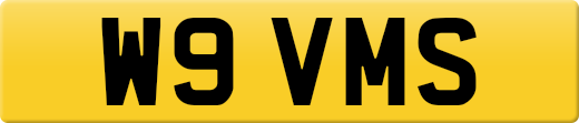 W9VMS