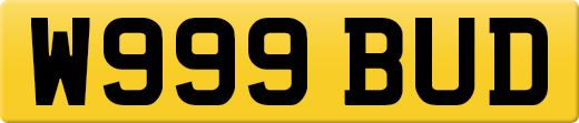 W999BUD