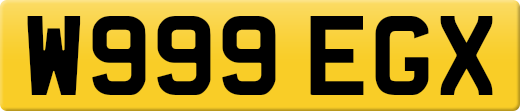 W999EGX