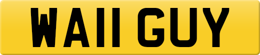 WA11GUY