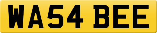 WA54BEE