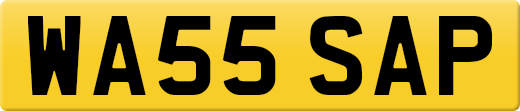 WA55SAP