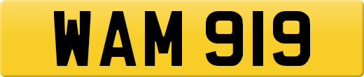 WAM919