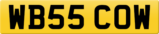 WB55COW