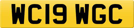 WC19WGC