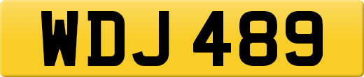 WDJ489