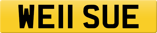 WE11SUE