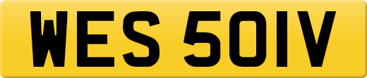 WES501V