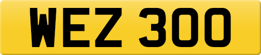 WEZ300