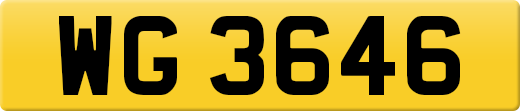 WG3646