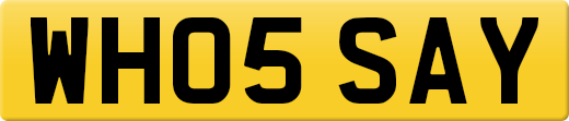 WH05SAY