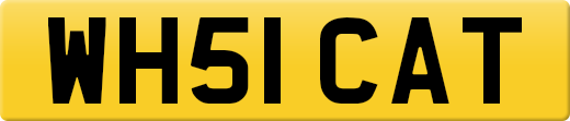 WH51CAT