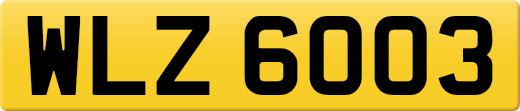 WLZ6003
