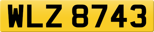 WLZ8743