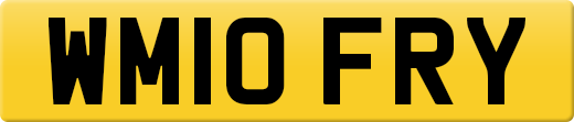 WM10FRY
