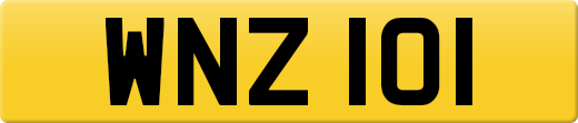 WNZ101
