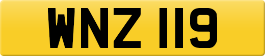 WNZ119