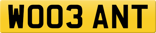 WO03ANT