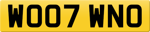WO07WNO
