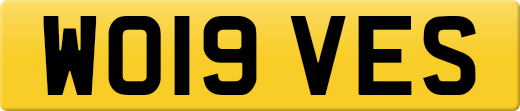WO19VES