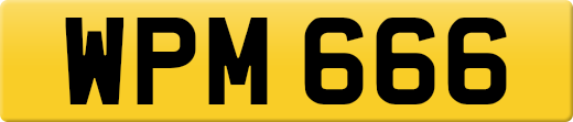 WPM666
