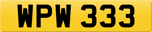WPW333