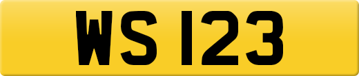 WS123